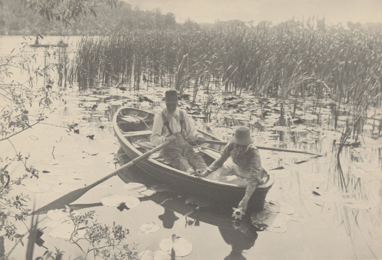 Sbírání leknínů, 1886 (foto) od Peter Henry Emerson