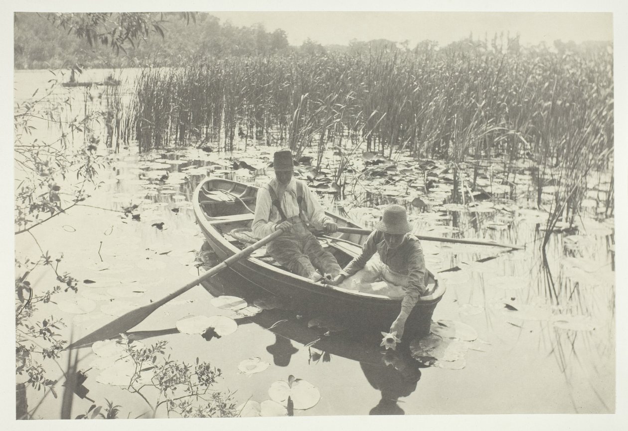 Sbírání leknínů od Peter Henry Emerson
