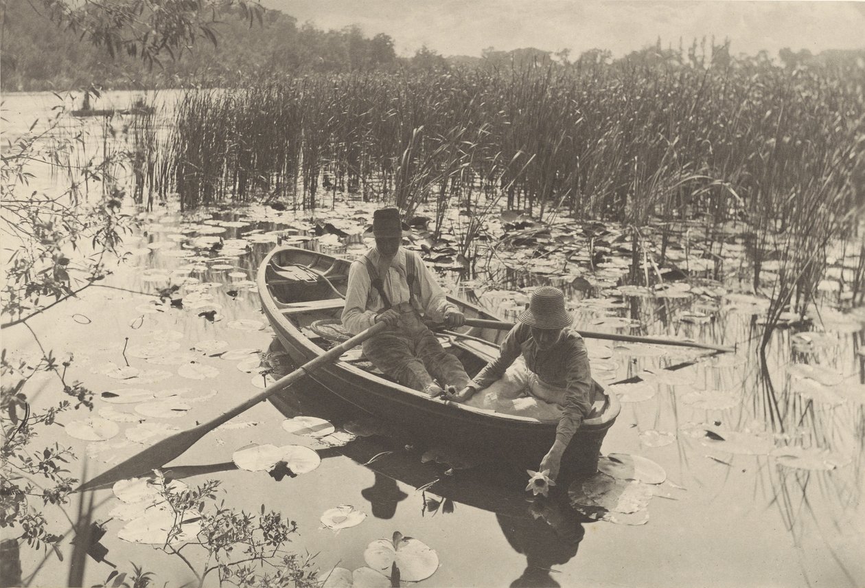 Sbírání leknínů od Peter Henry Emerson