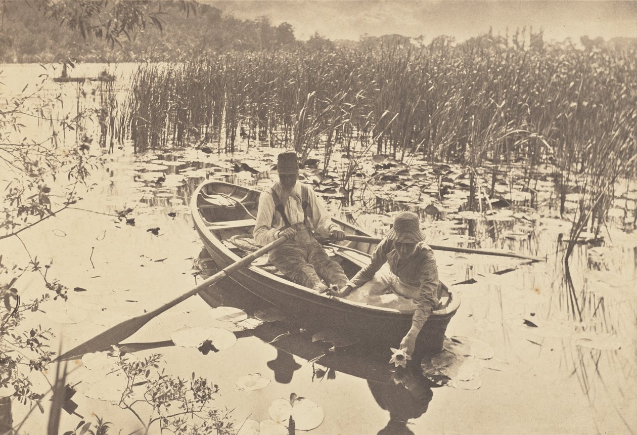 Sběr leknínů od Peter Henry Emerson