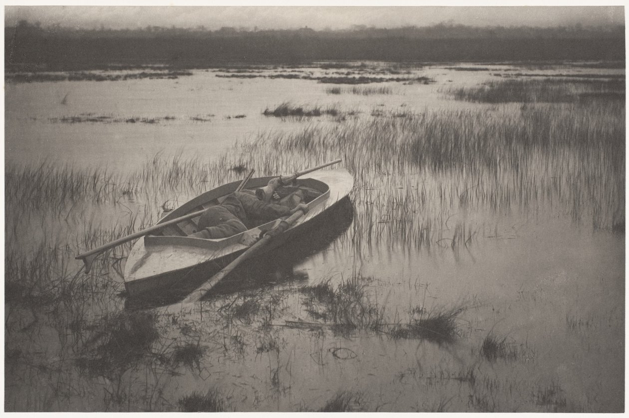 Lovec přibližující se k pernaté zvěři od Peter Henry Emerson