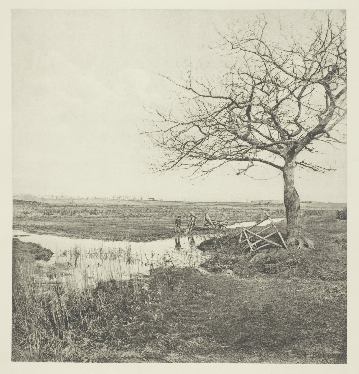 Bezlistý pochod (Suffolk) od Peter Henry Emerson