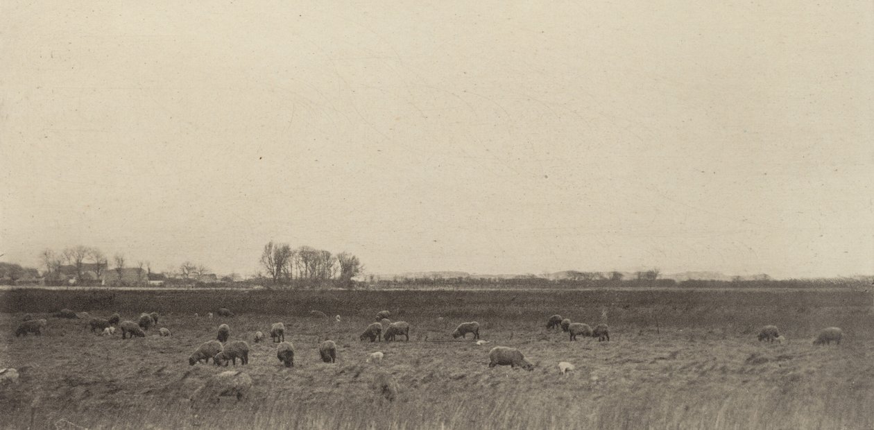 Bažiny u Severního moře od Peter Henry Emerson