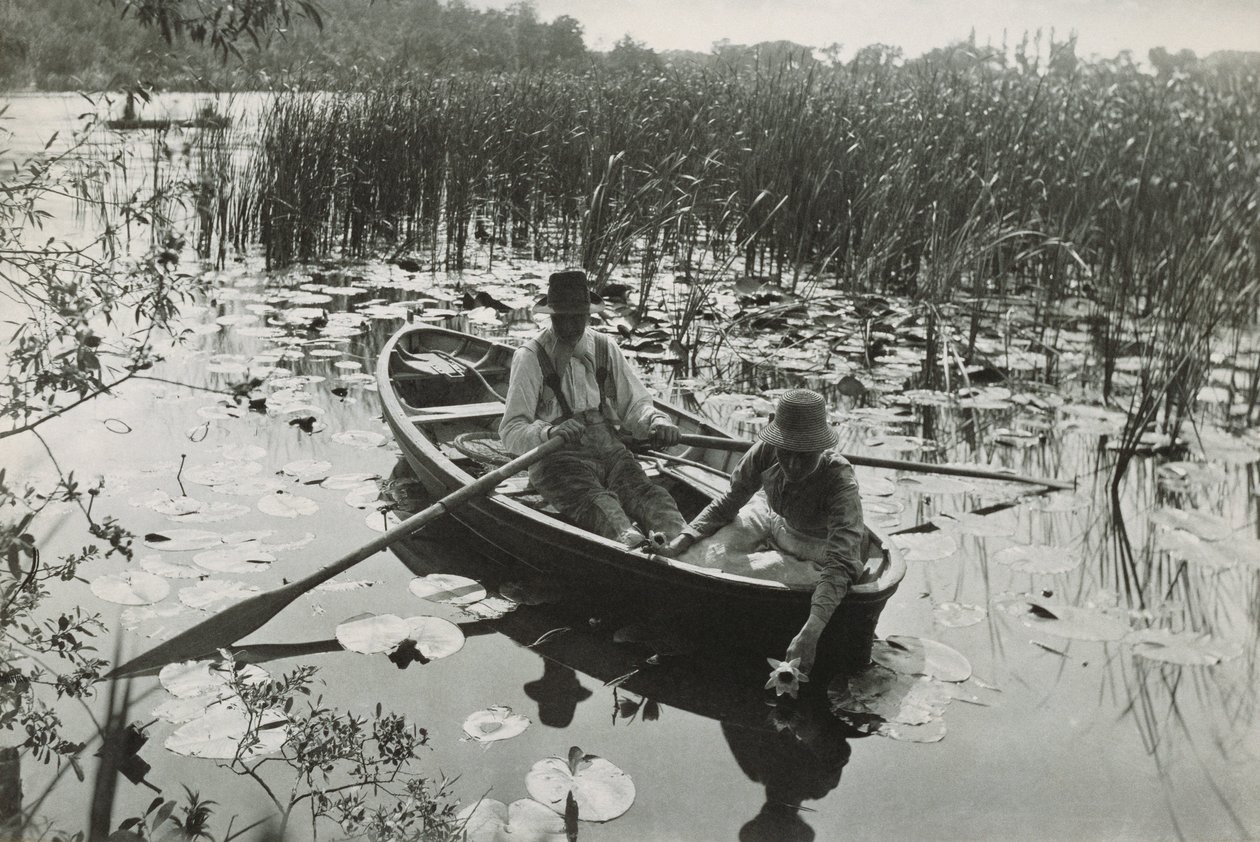 Jeden ze čtyřiceti platinových tisků z filmu Život a krajina na Norfolk Broads od Peter Henry Emerson