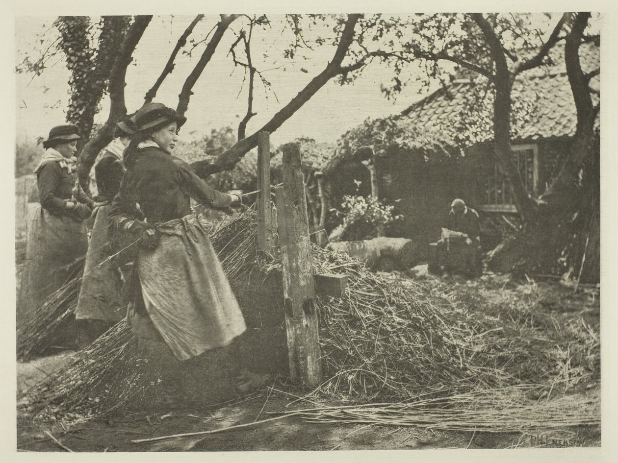 Peeling vrbového proutí (Norfolk) od Peter Henry Emerson
