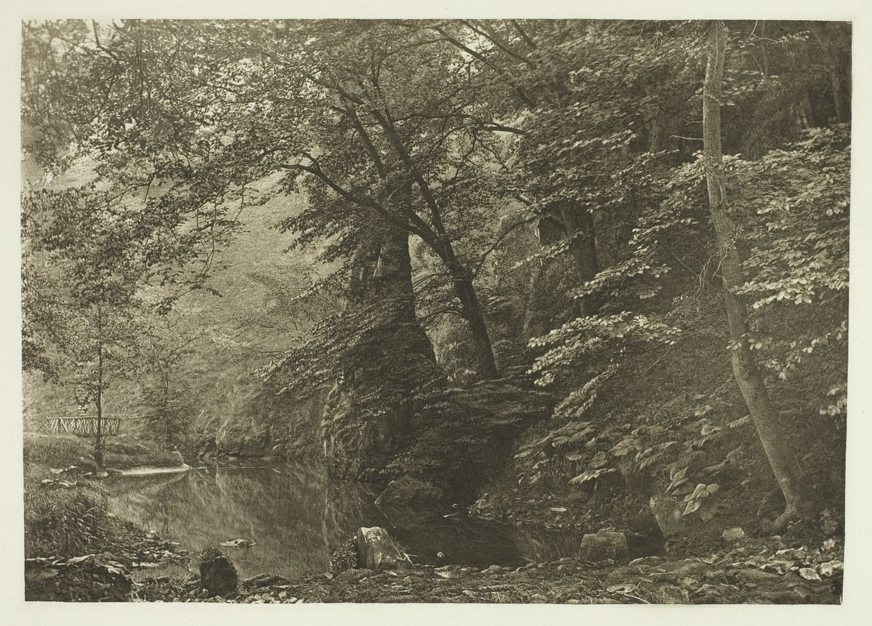 "Pike Pool" (odspodu) od Peter Henry Emerson