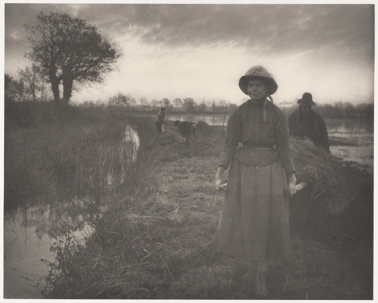 Posouvání bažinného sena bidly od Peter Henry Emerson