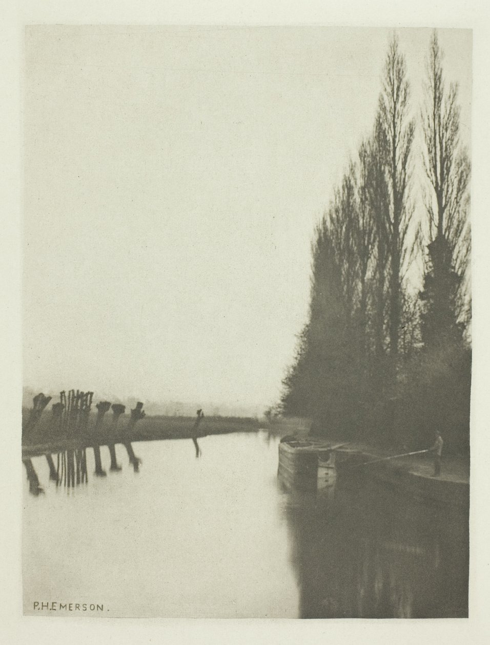 Topoly a Pollards na řece Lea, poblíž Broxbourne od Peter Henry Emerson