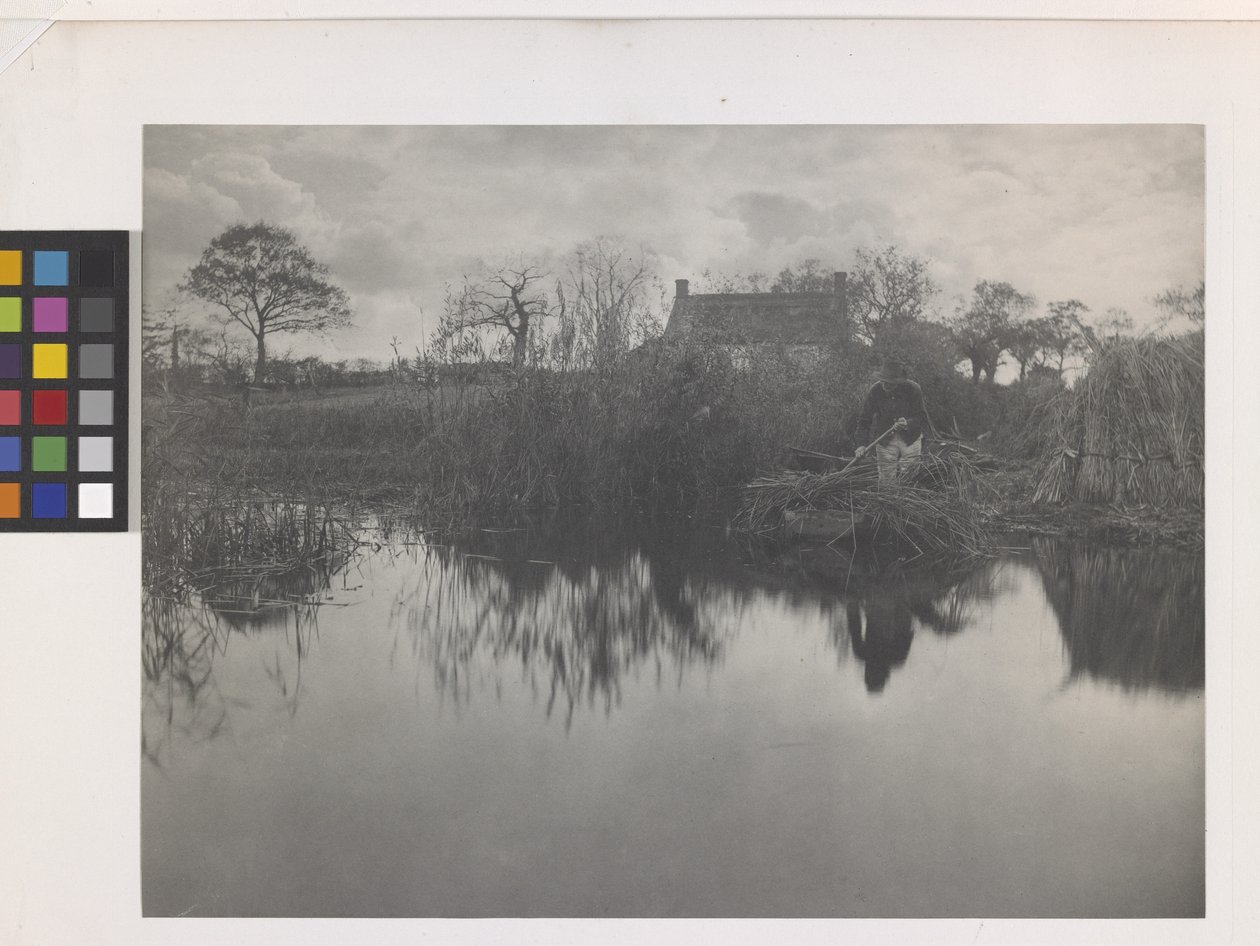 Quanting The Gladdon (platinový tisk na originální paspartě) od Peter Henry Emerson