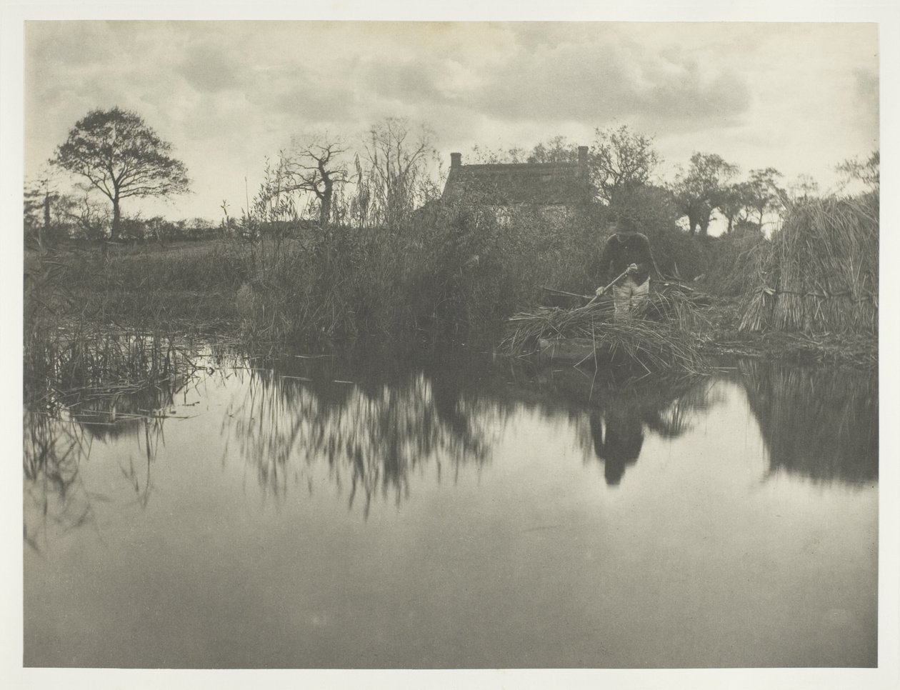 Kvantifikace Gladdonu od Peter Henry Emerson