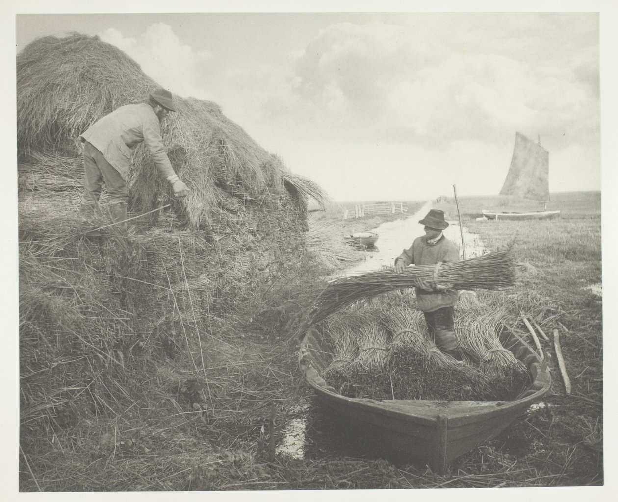Ricking the Reed od Peter Henry Emerson