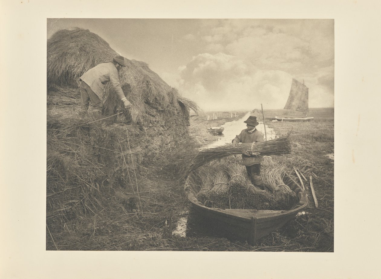 Stohování rákosu od Peter Henry Emerson