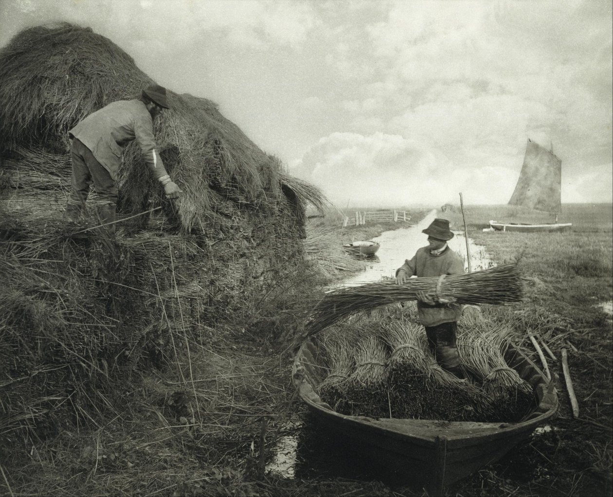 Stohování rákosí od Peter Henry Emerson