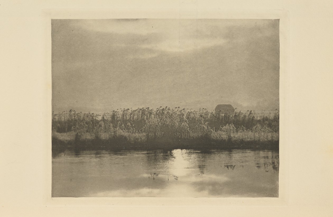 Krystaly jinovatky od Peter Henry Emerson