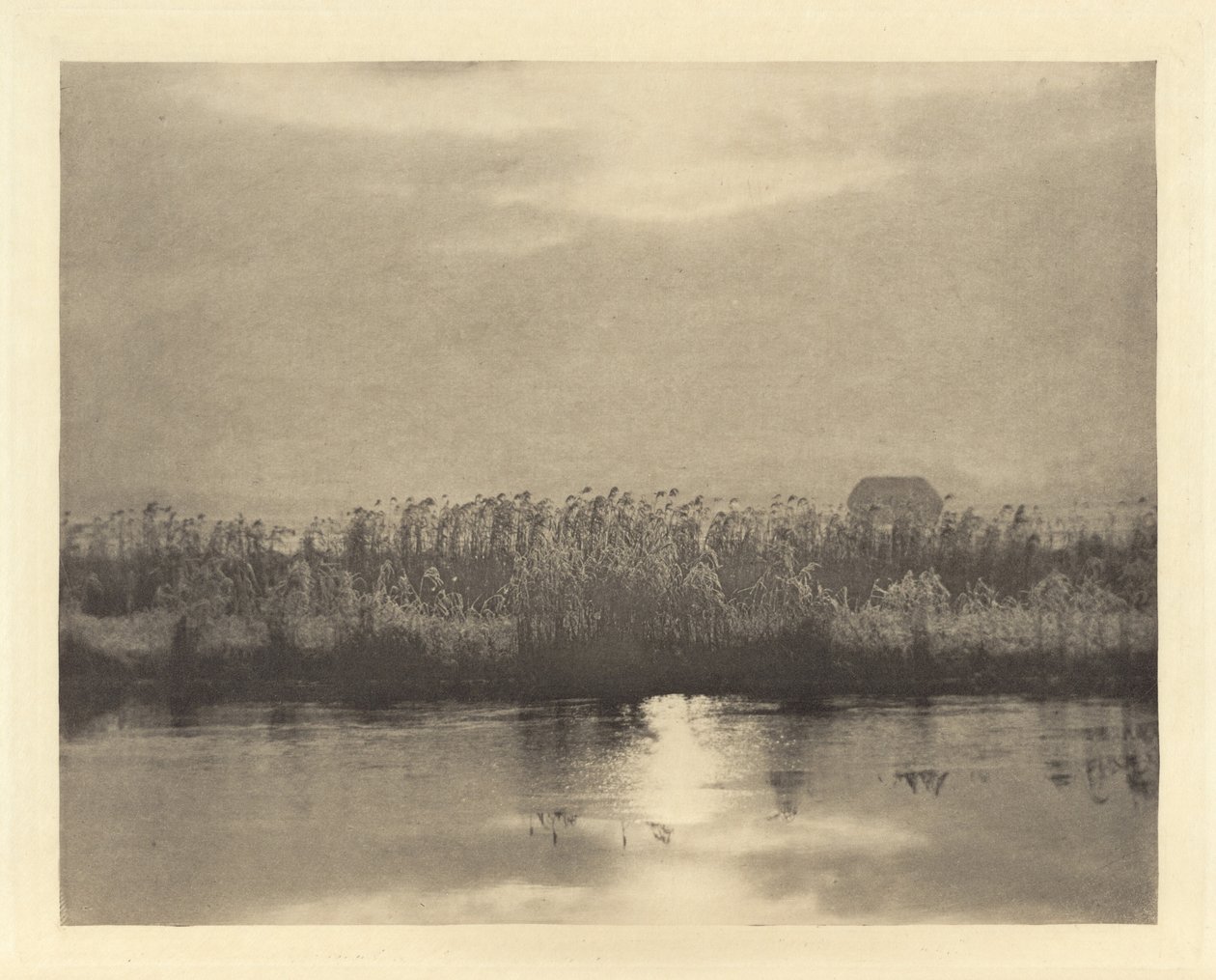 Rime Crystals, v roce 1895 nebo dříve (foto) od Peter Henry Emerson
