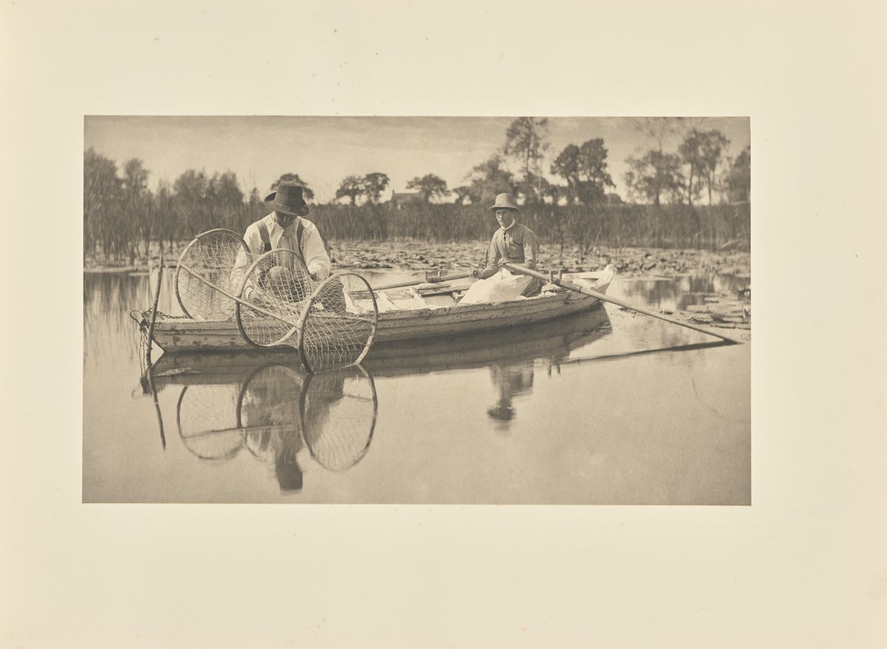 Nastavení síťového luku od Peter Henry Emerson