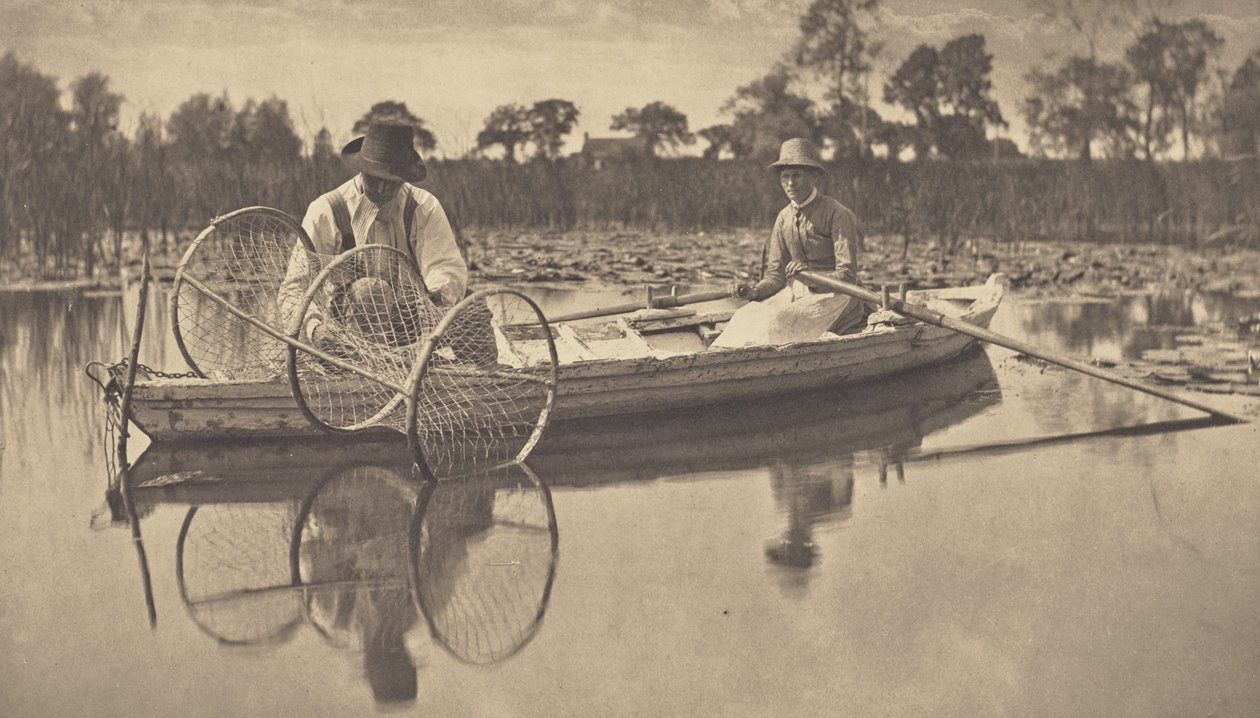 Nastražení obloukové sítě od Peter Henry Emerson
