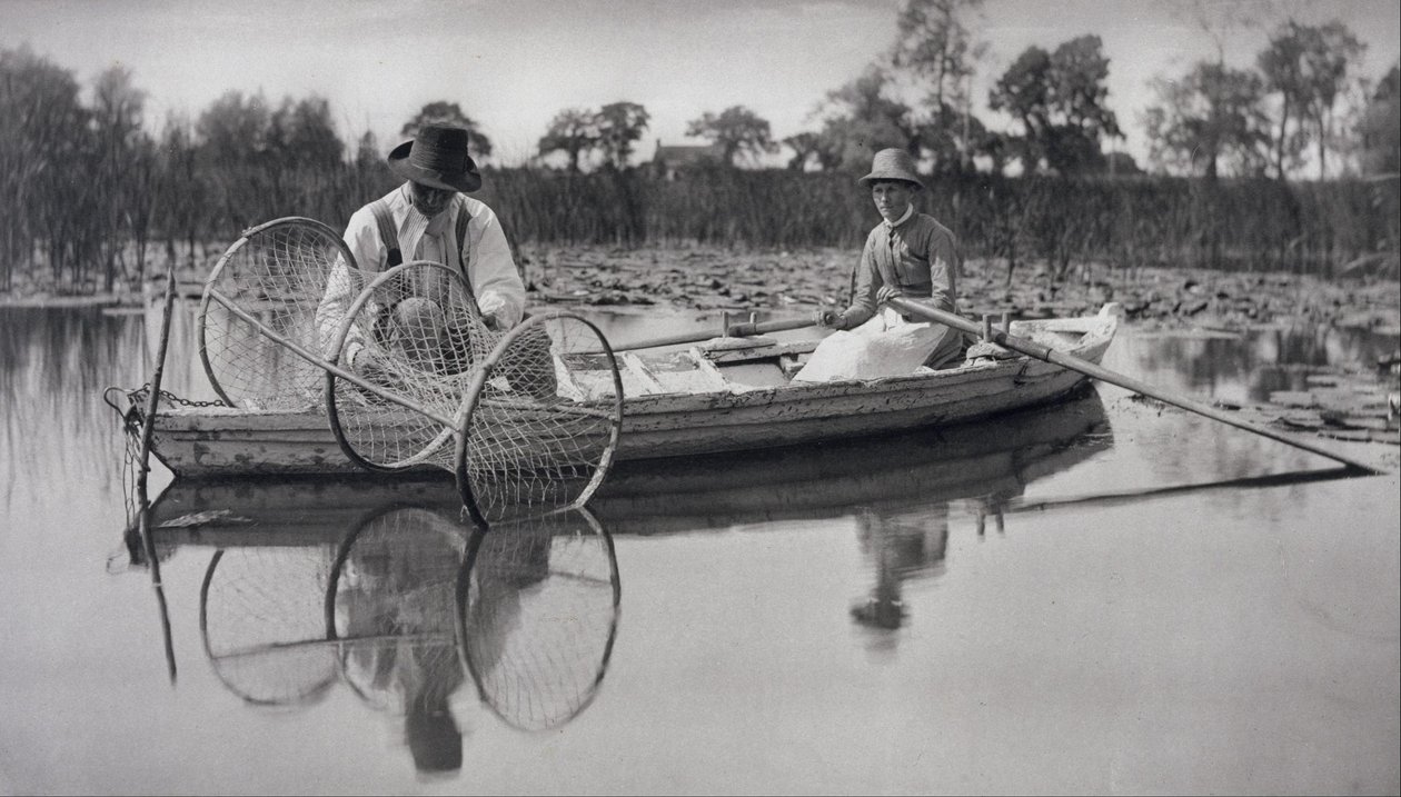 Nastražení kapsové sítě od Peter Henry Emerson