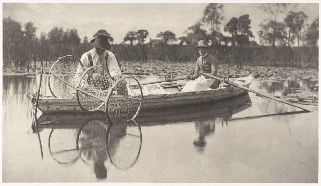 Nastražení obloukové sítě od Peter Henry Emerson