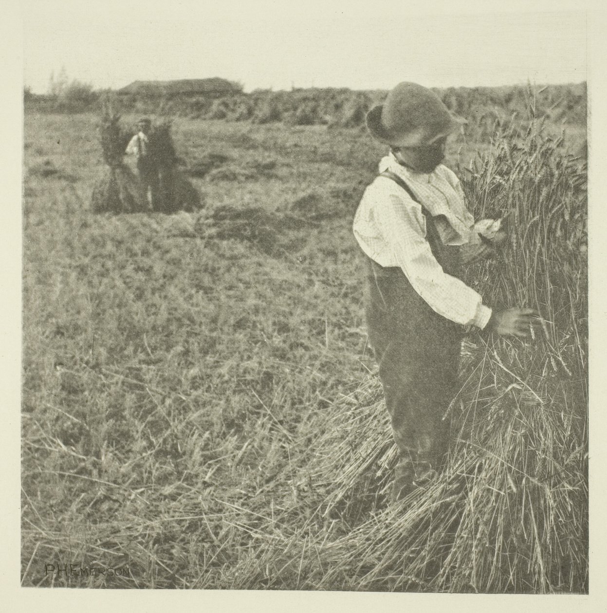 Šokující kukuřice (Norfolk) od Peter Henry Emerson