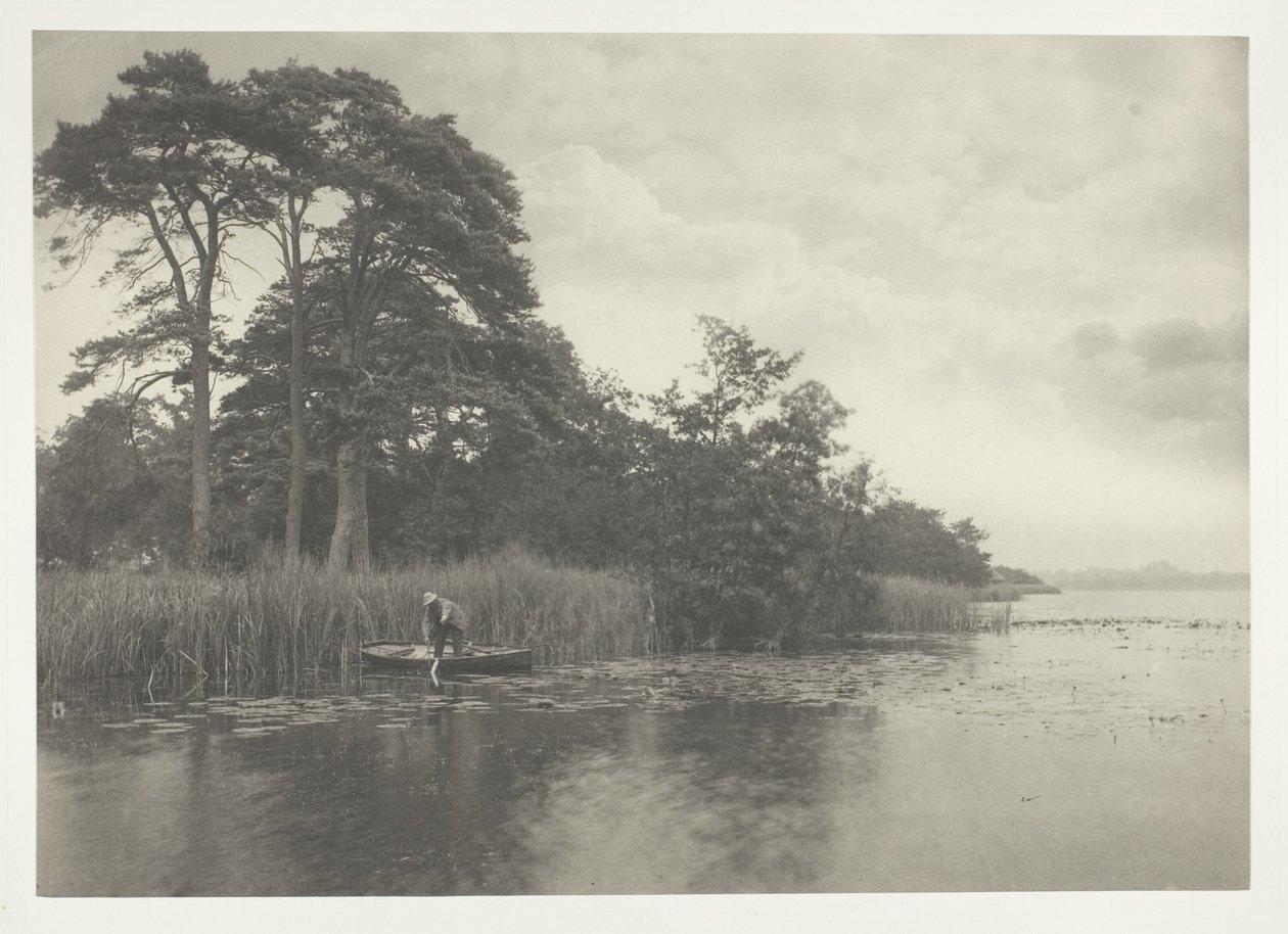 Haunt of the Pike od Peter Henry Emerson