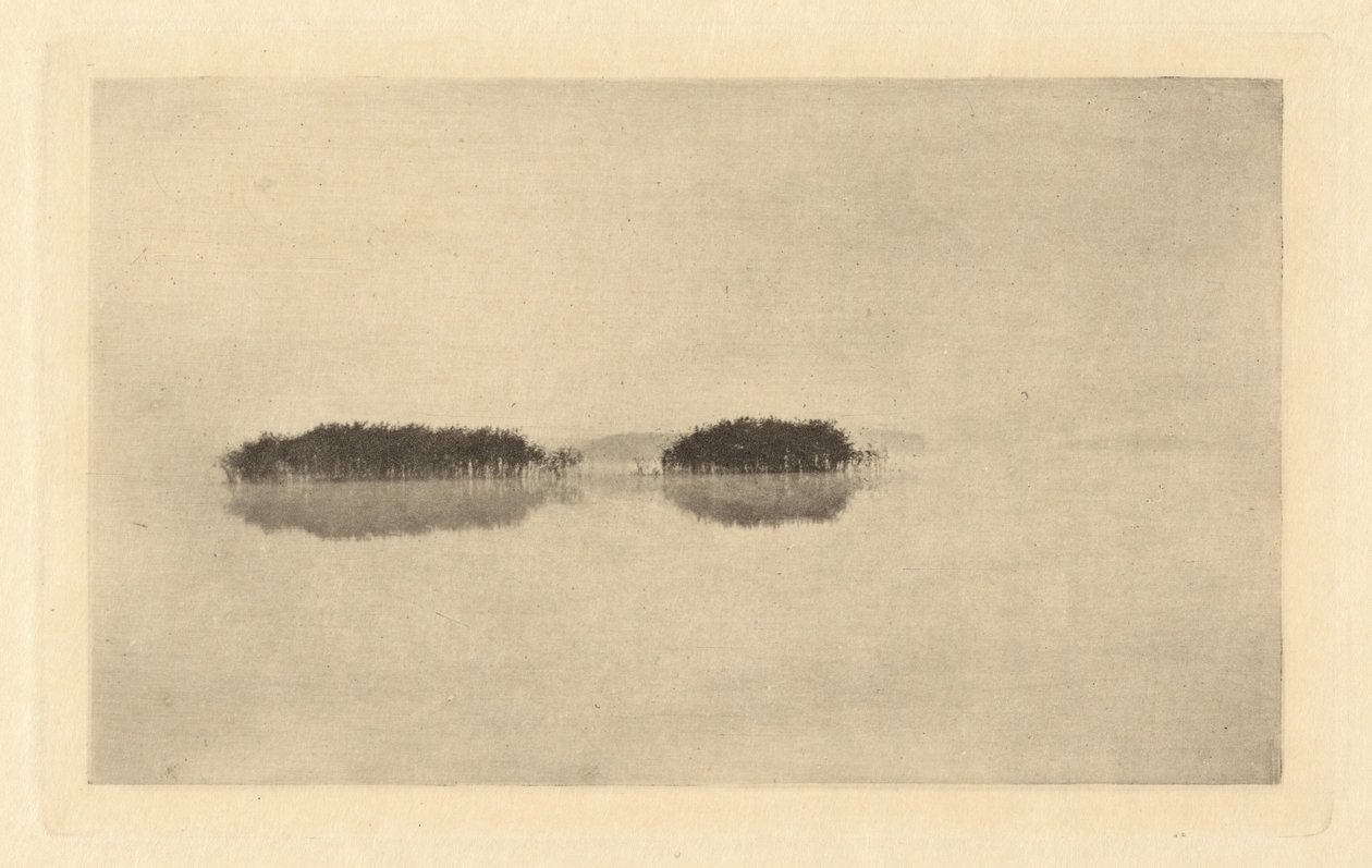 The Lone Lagoon, v roce 1895 nebo dříve. od Peter Henry Emerson
