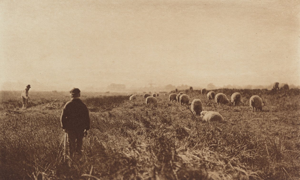 The Marshes v červnu 1890-1891, vytištěno 1893. od Peter Henry Emerson