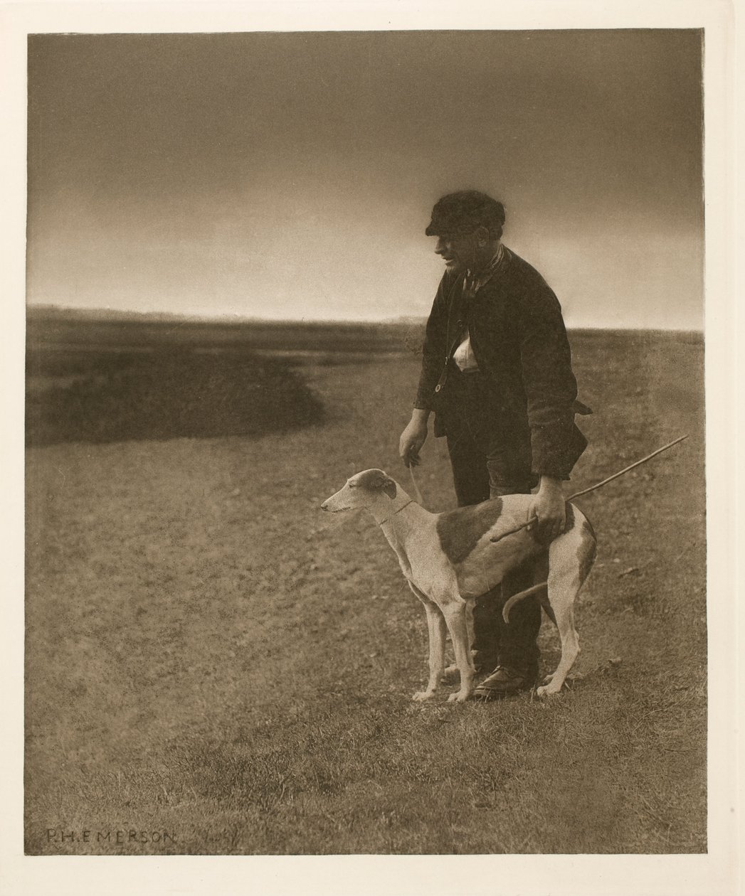 Pytlák - Zajíc v zorném poli od Peter Henry Emerson