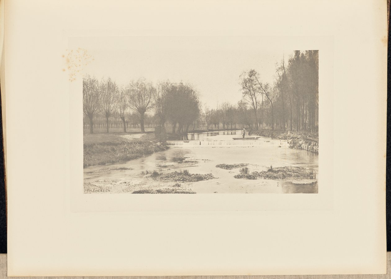 The Shoot, Amwell Magna Fishery od Peter Henry Emerson