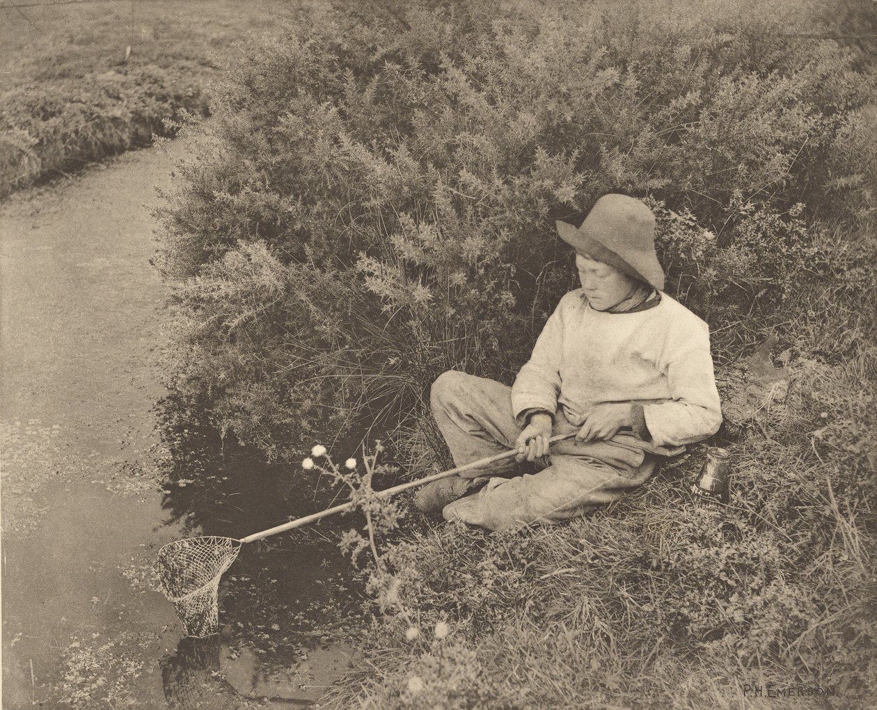 Chytač tyčinek od Peter Henry Emerson