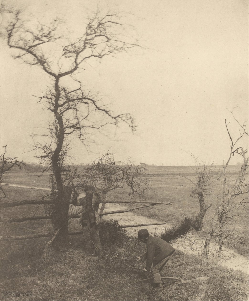 Řezačky větviček od Peter Henry Emerson