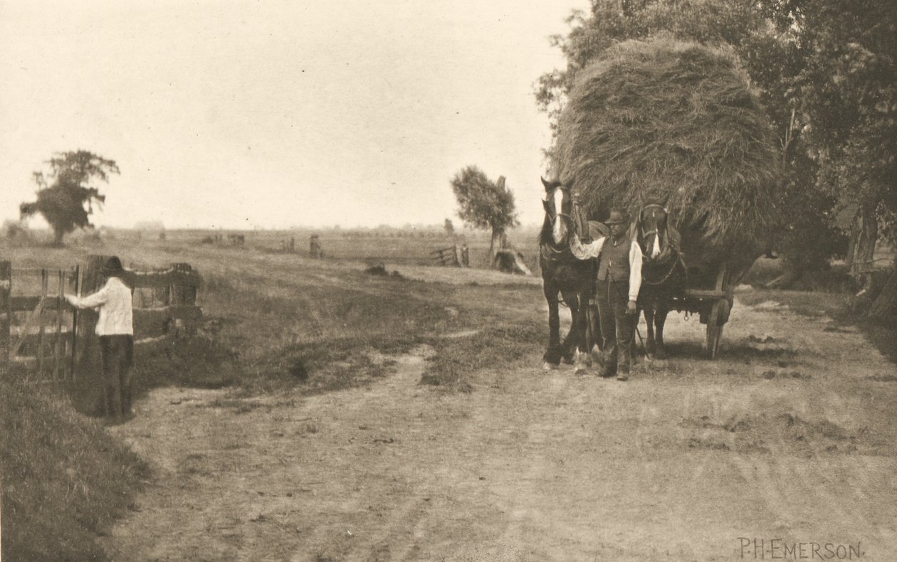 Bohatství bažin od Peter Henry Emerson