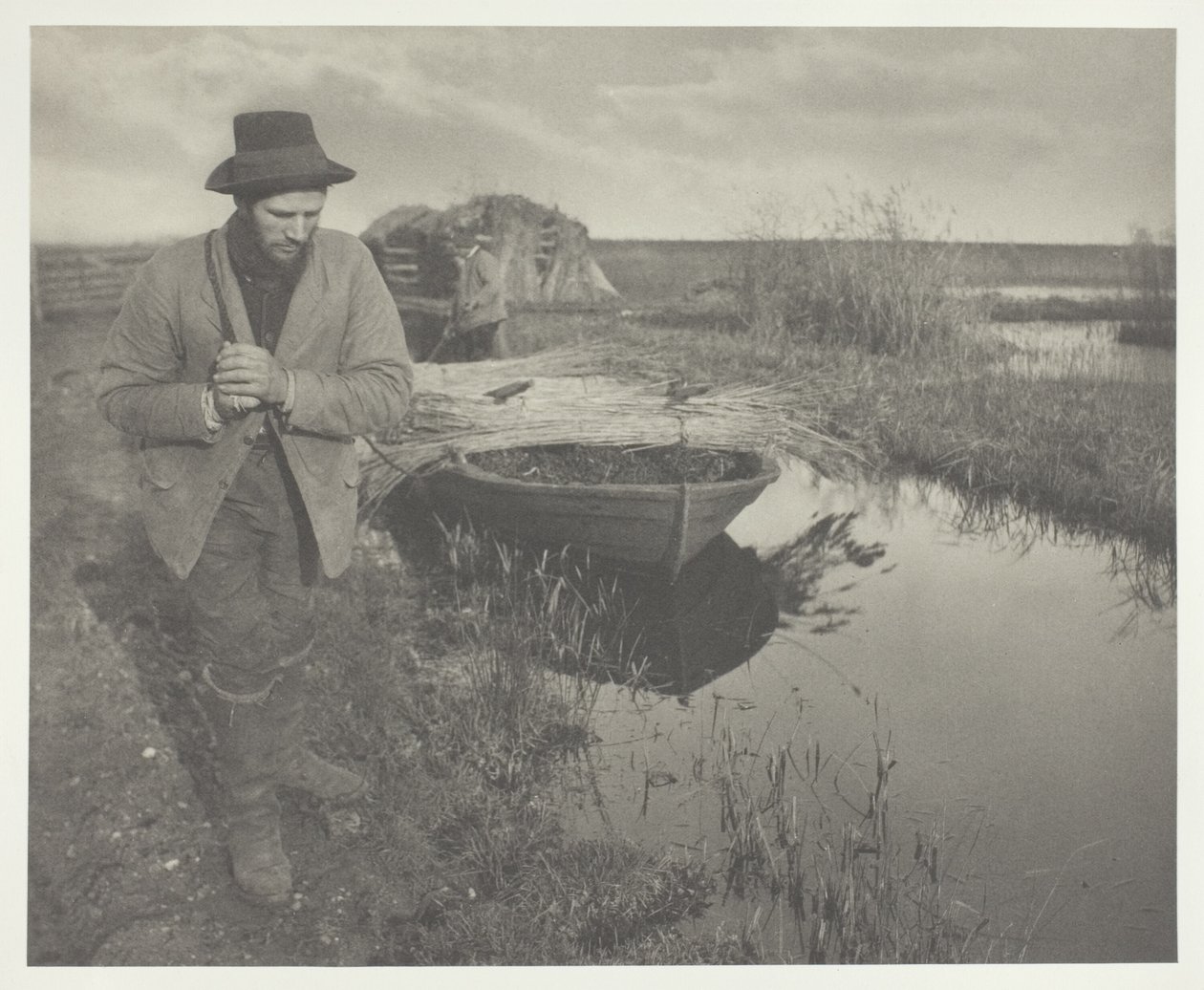 Tažení rákosu od Peter Henry Emerson