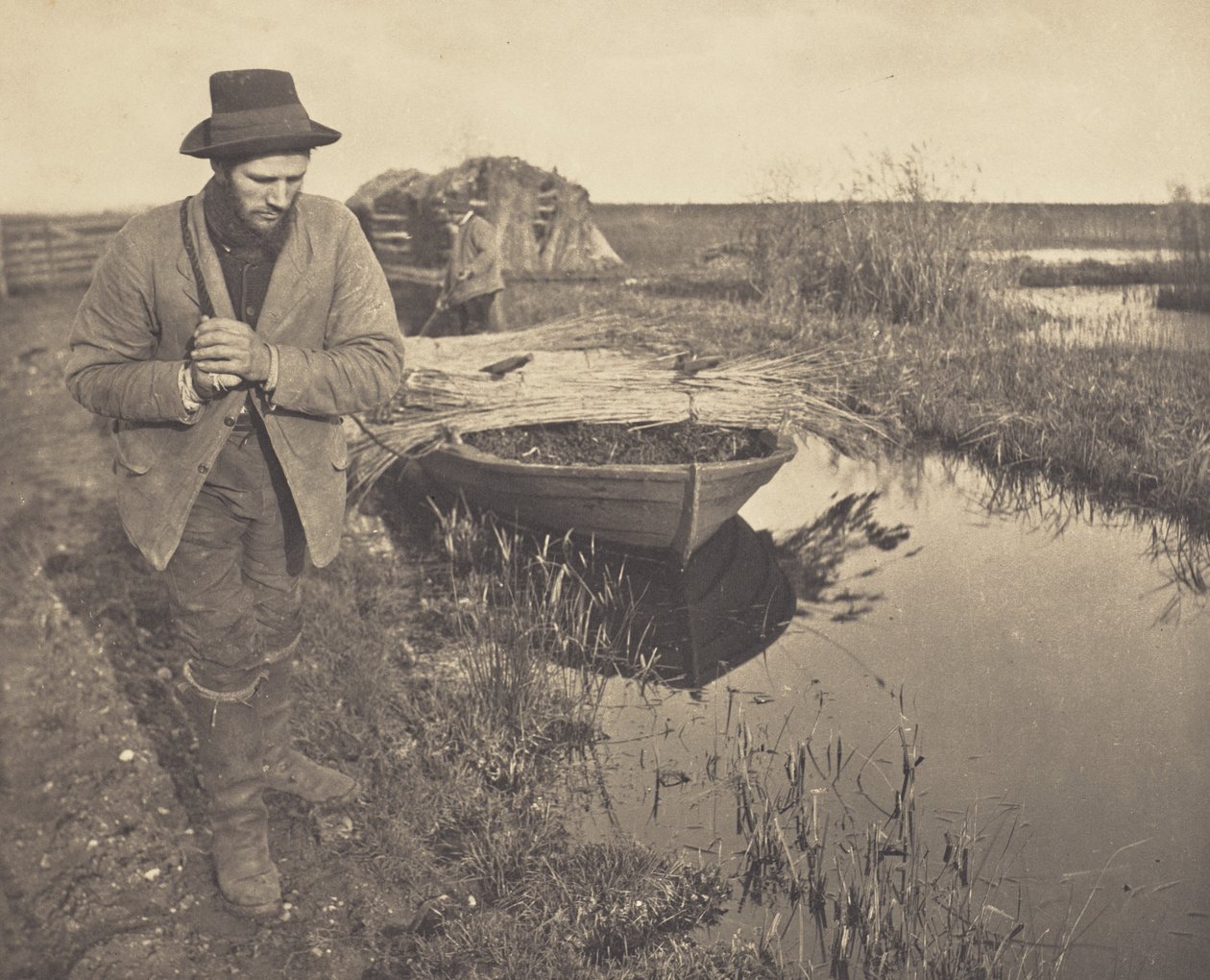 Vlečení rákosí od Peter Henry Emerson