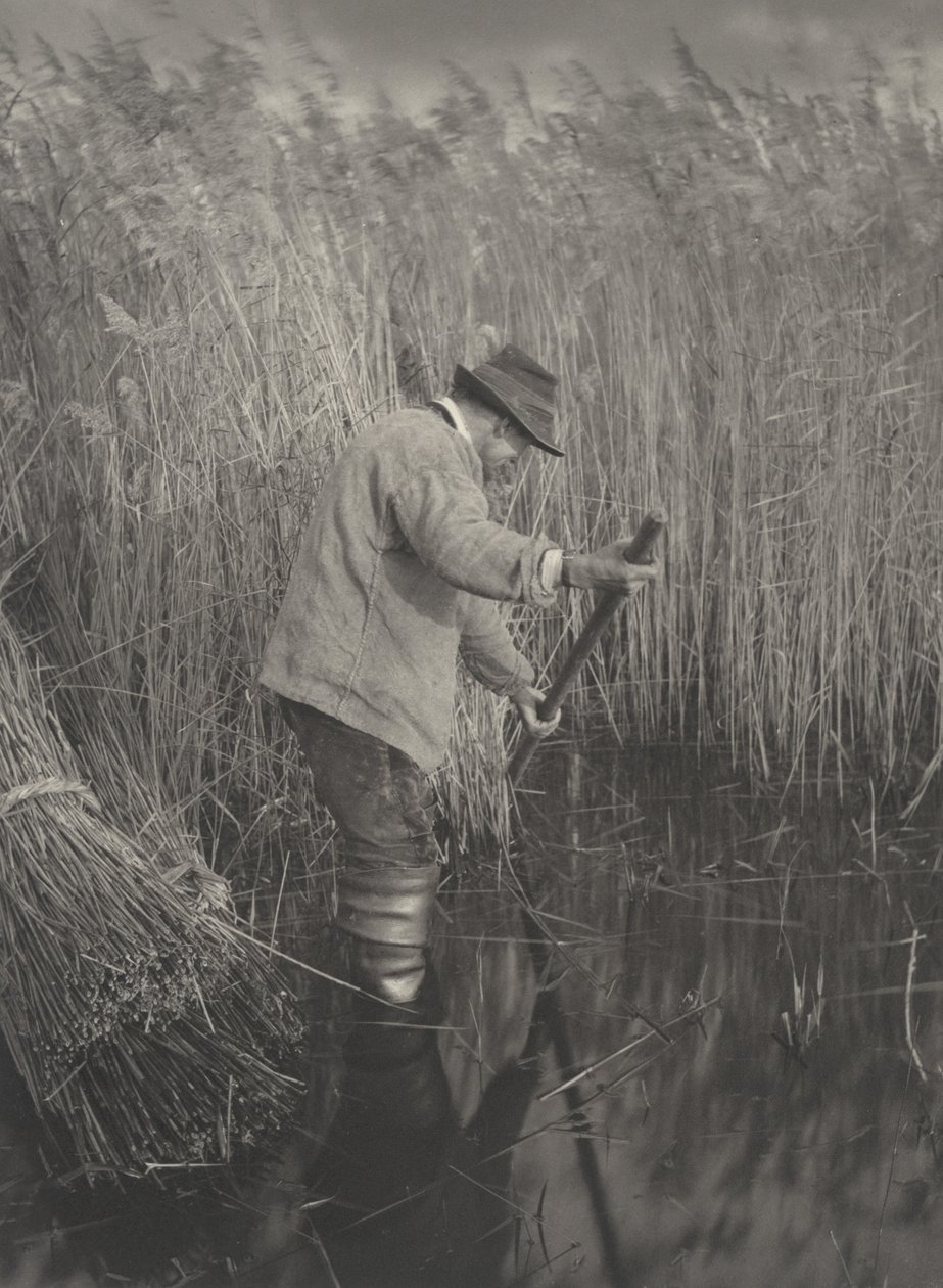 Řezák rákosu v práci od Peter Henry Emerson and T.F. Goodall