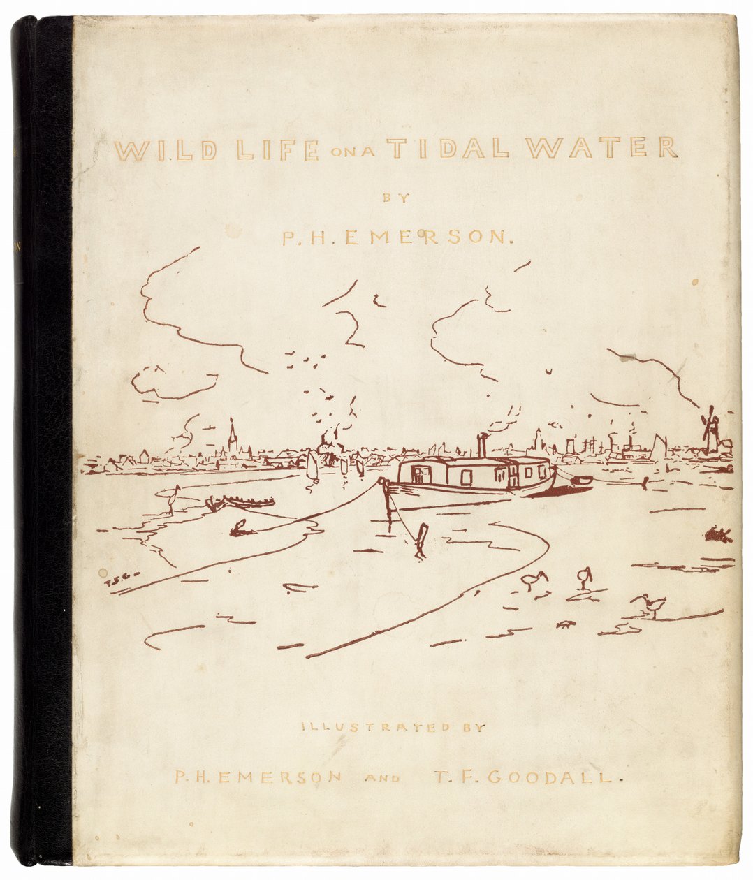 Divoký život na přílivové vodě od Peter Henry Emerson, and T.F. Goodall