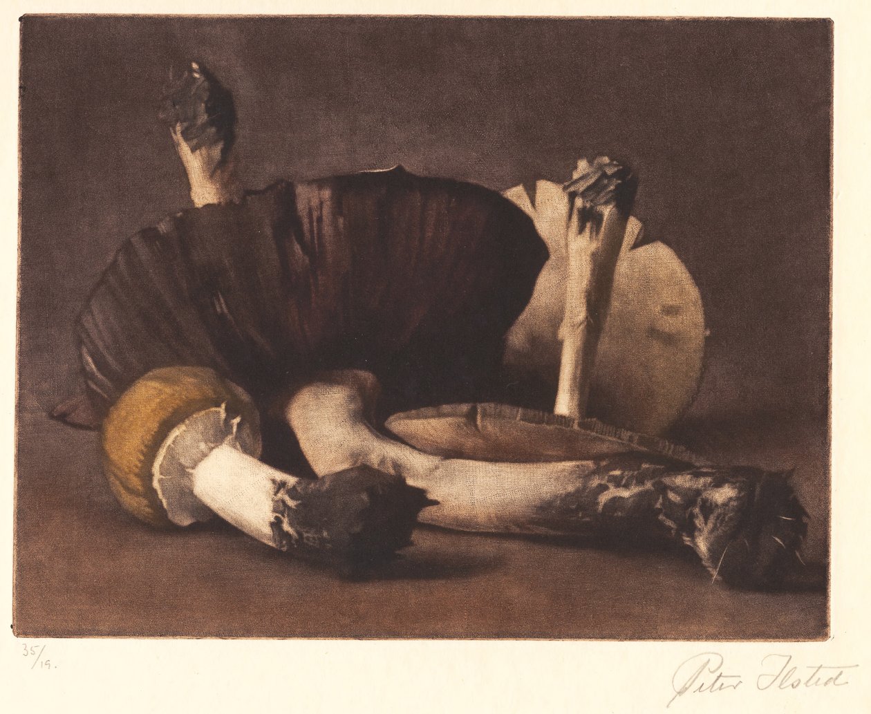 Žlutá houba od Peter Vilhelm Ilsted