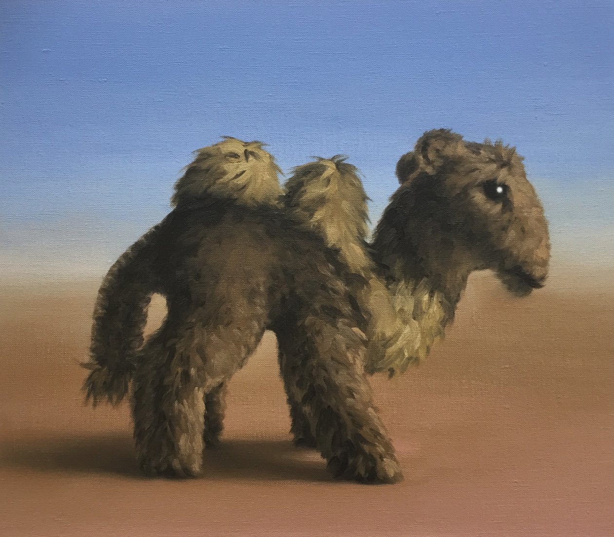 Velbloud, 2017 od Peter Jones