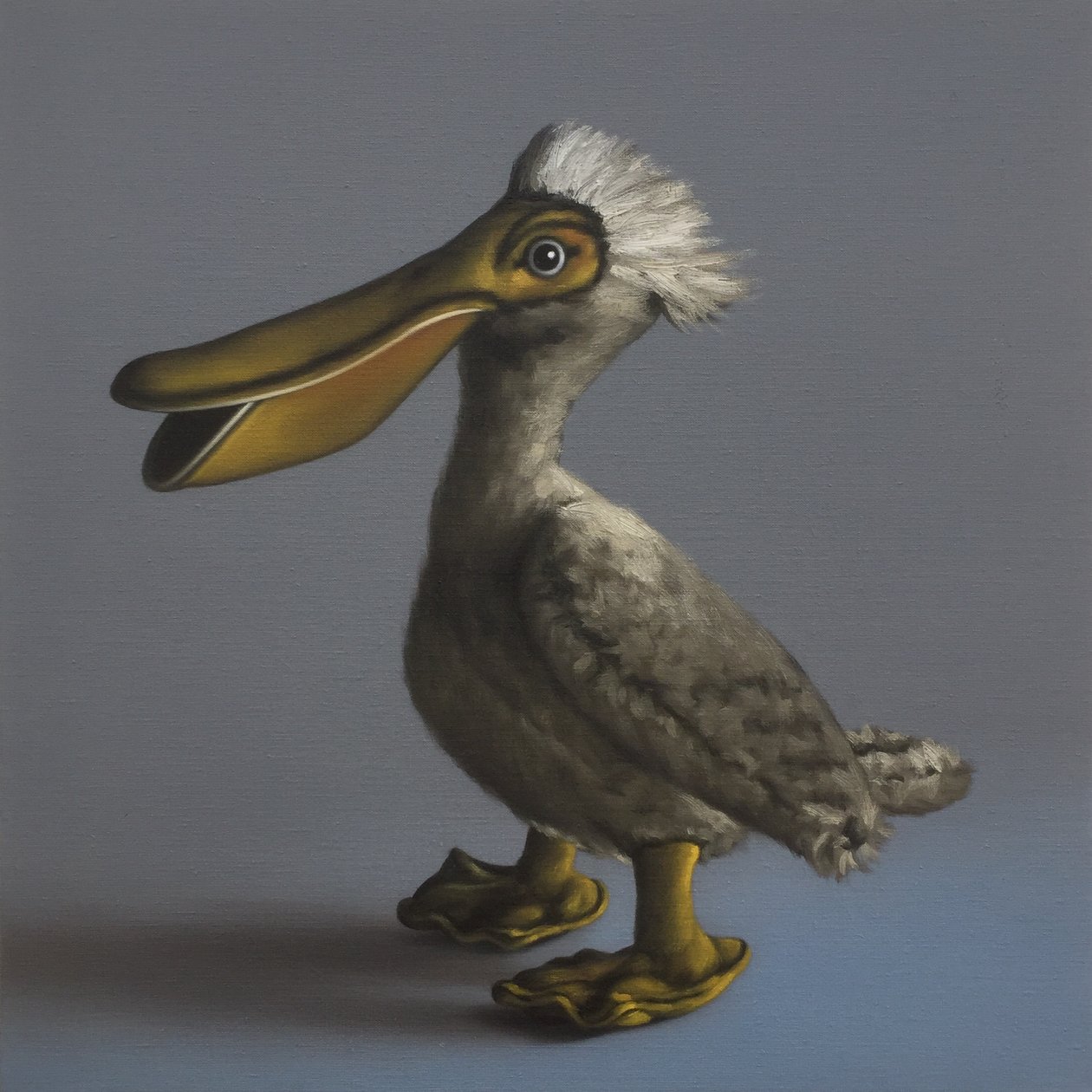Pelikán, 2017 od Peter Jones