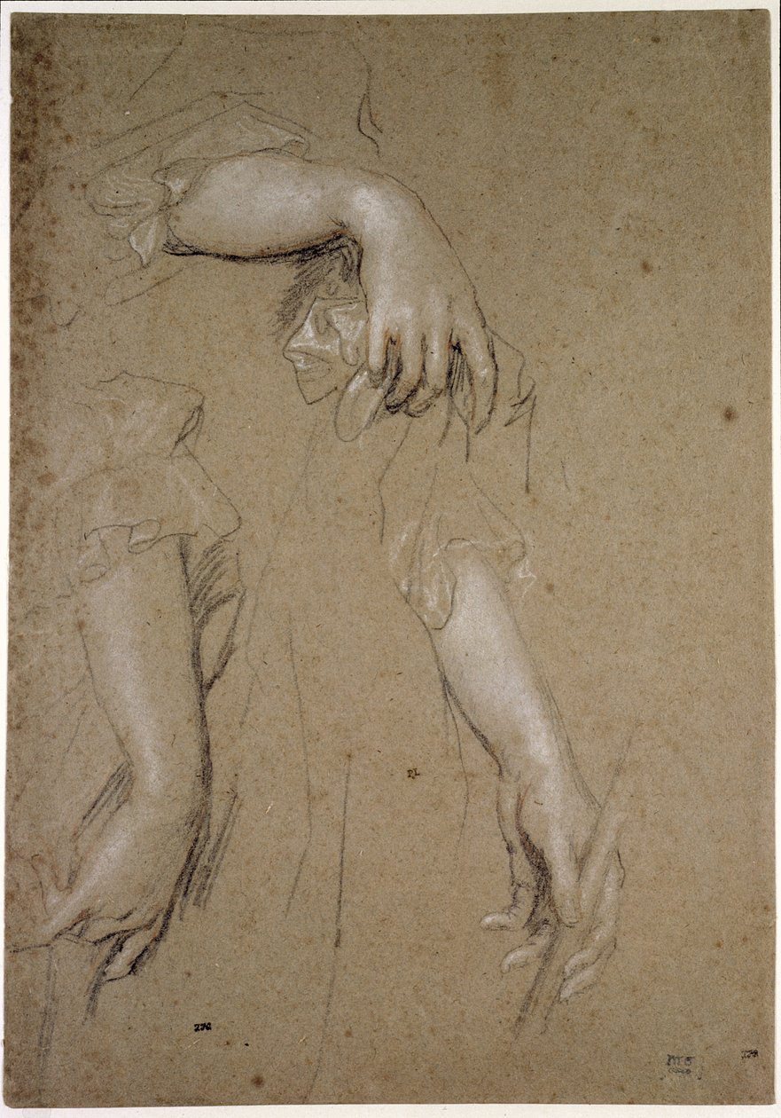 Studie rukou, 17. století (křída na papíře) od Peter Lely