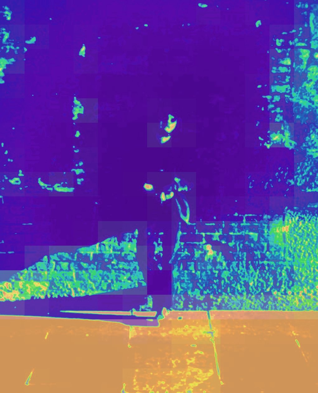 ARTIST ROGER 70. let, 2015 (digitálně vylepšená fotografie) od Peter McClure