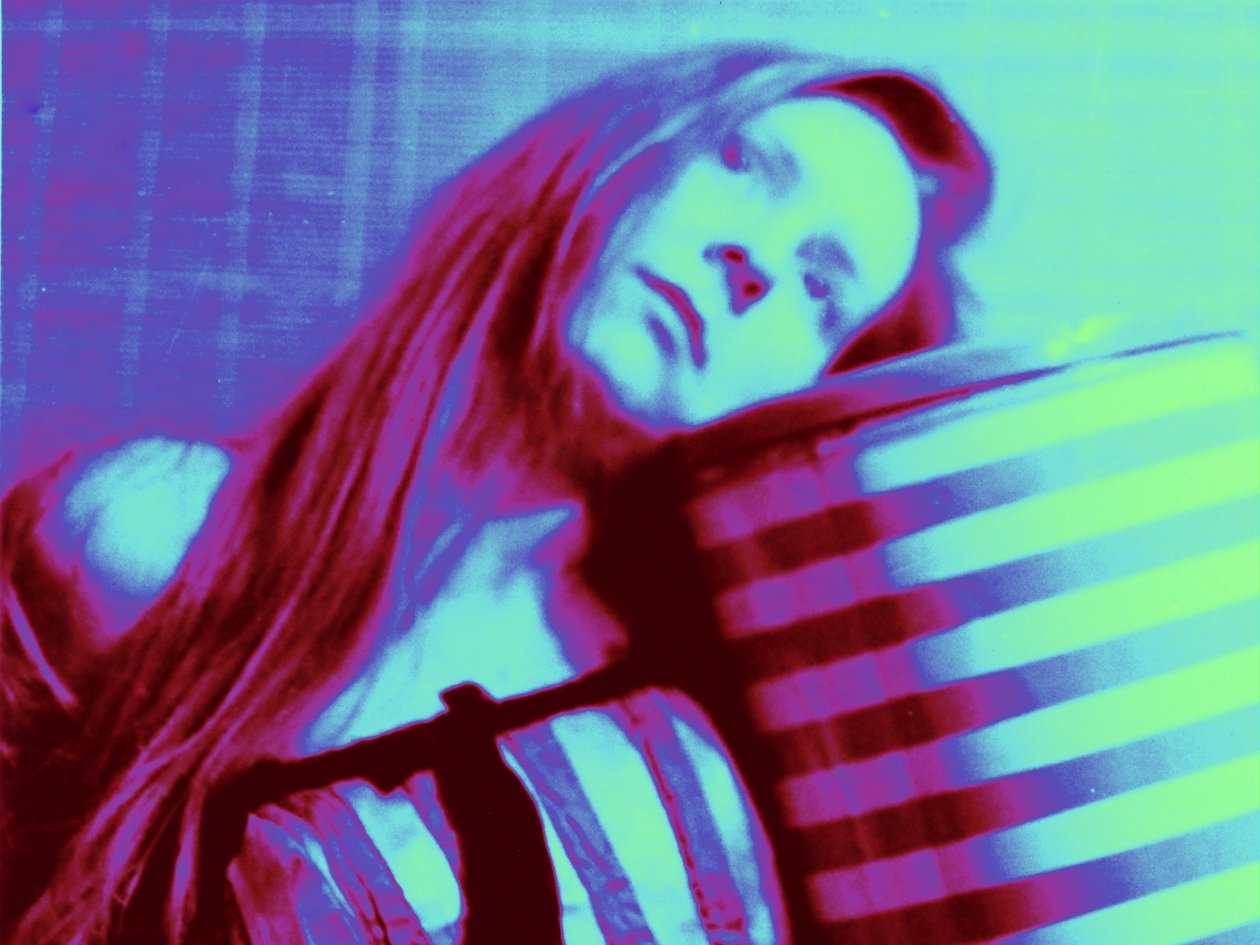 ANGLICKÁ RŮŽE, LONDÝN 70. LÉTA, POSLEDNÍ VERZE od Peter McClure