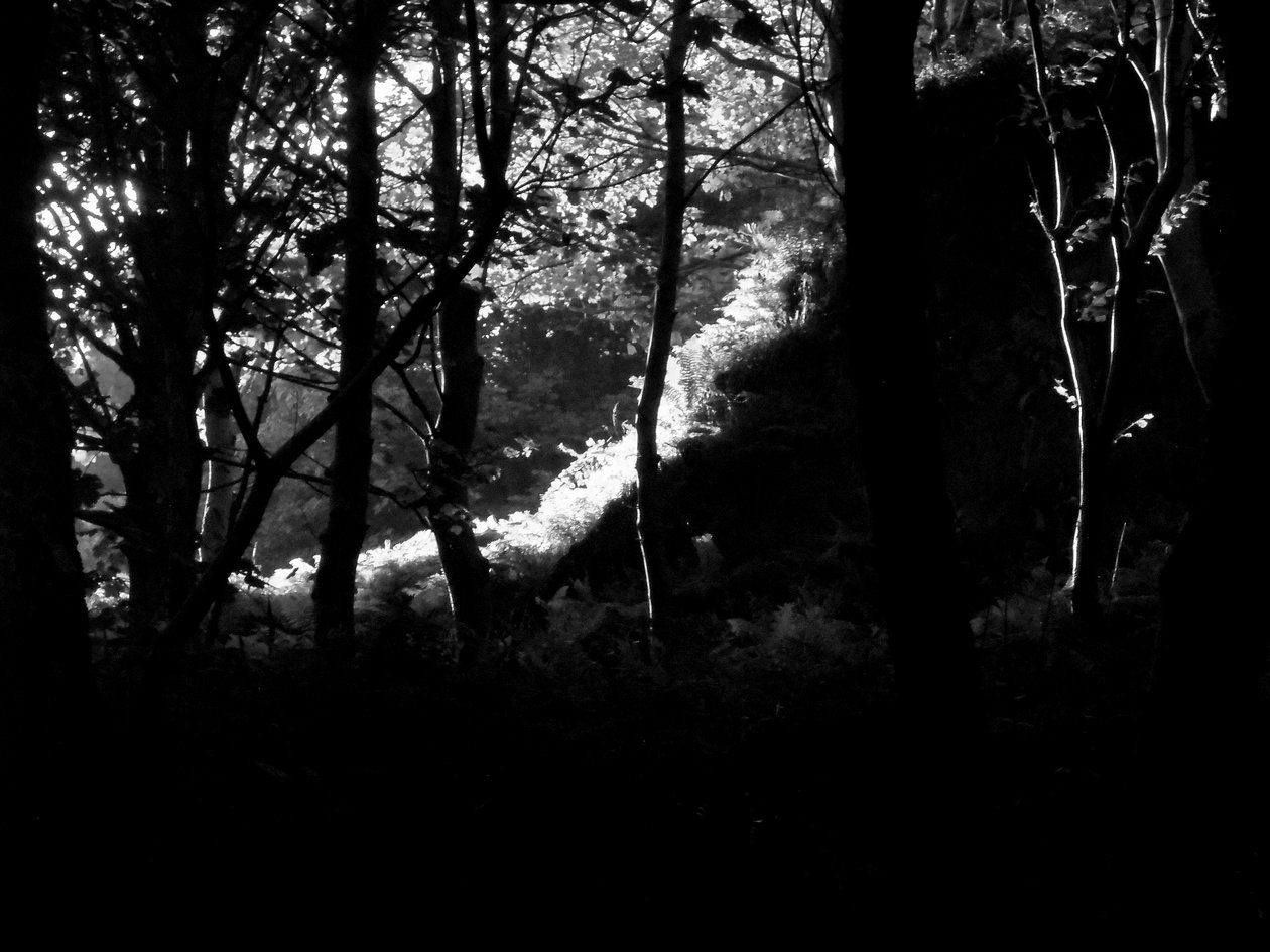 KINTYRE... PLUS. 17 od Peter McClure