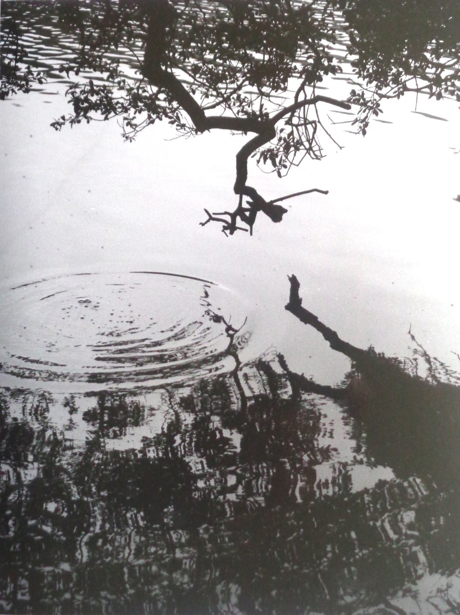 VINTAGE B&W PHOTO No.5, 1986, (FOTOGRAFIE) od Peter McClure