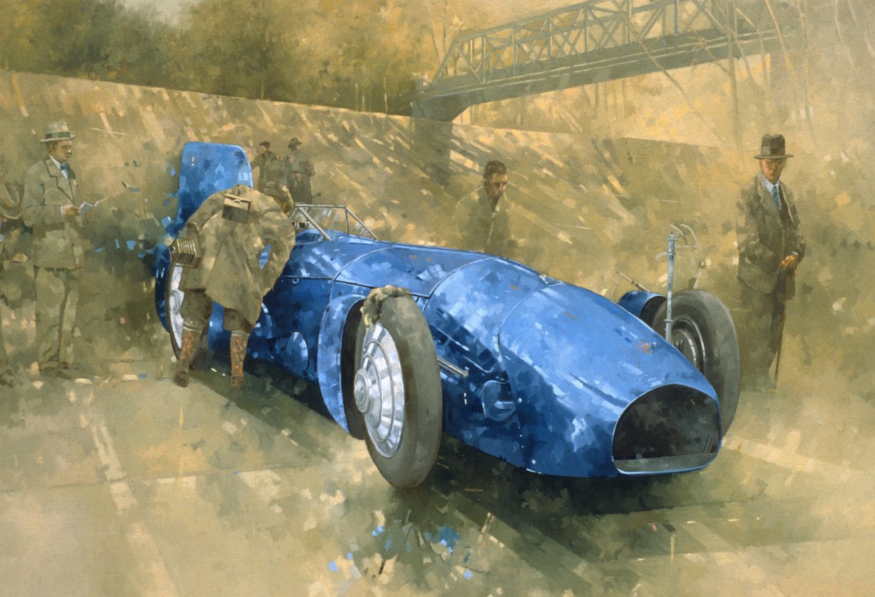 Bluebird at Brooklands (olej na plátně) od Peter Miller