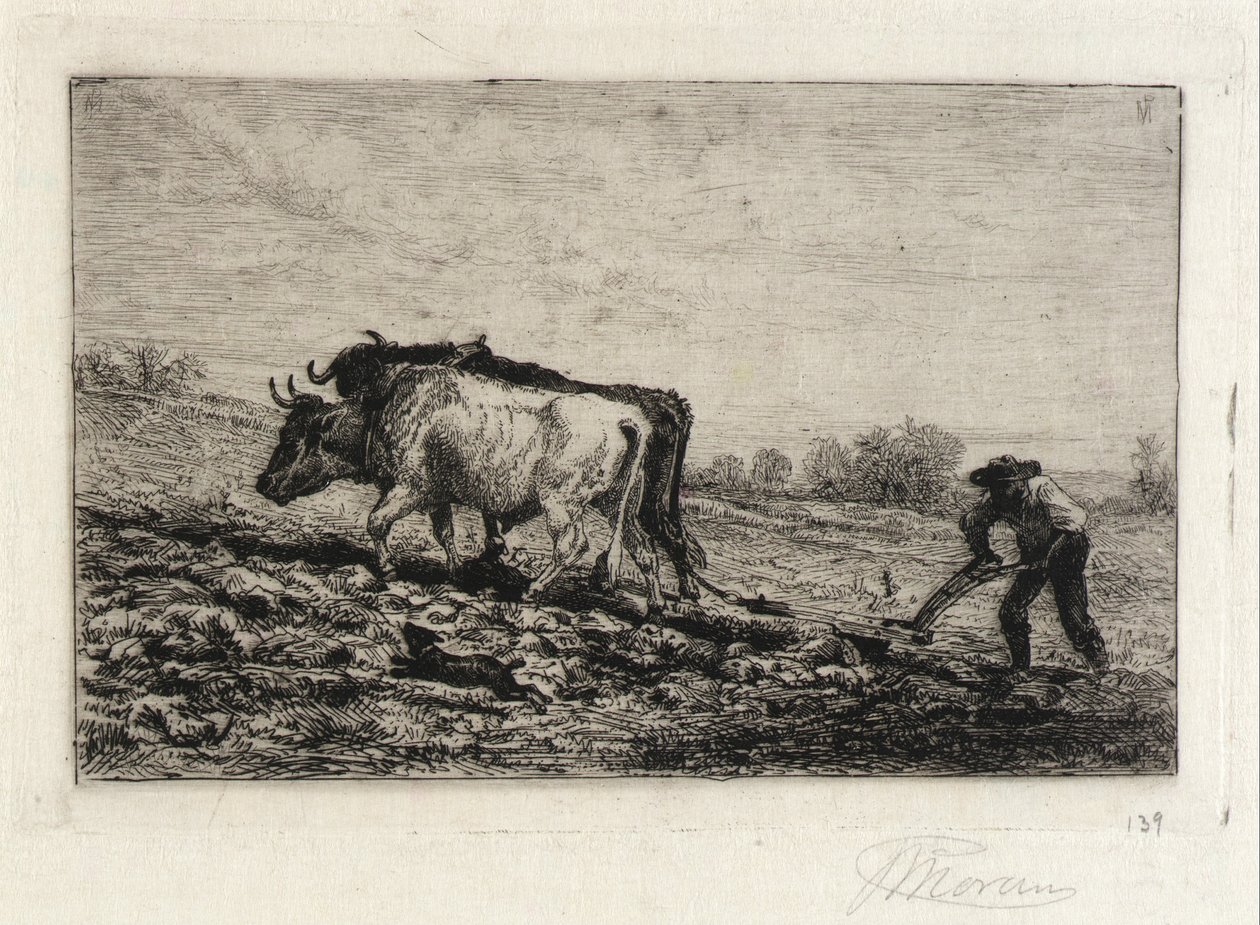 (Jaro) od Peter Moran