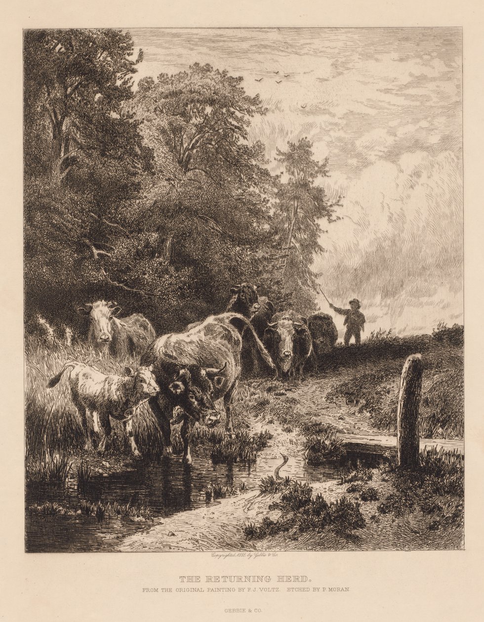 Vracející se stádo, c. 1885. od Peter Moran