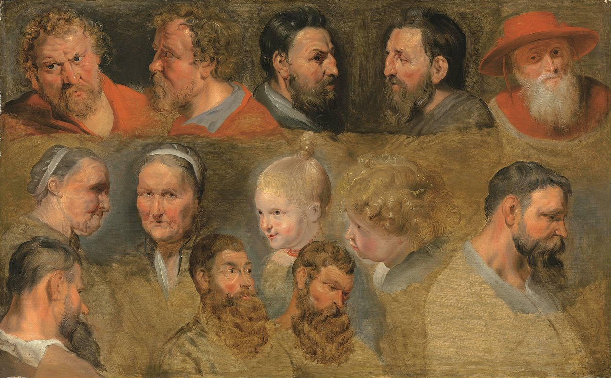 Studie hlavy (olej na panelu) od Peter Paul (circle of) Rubens