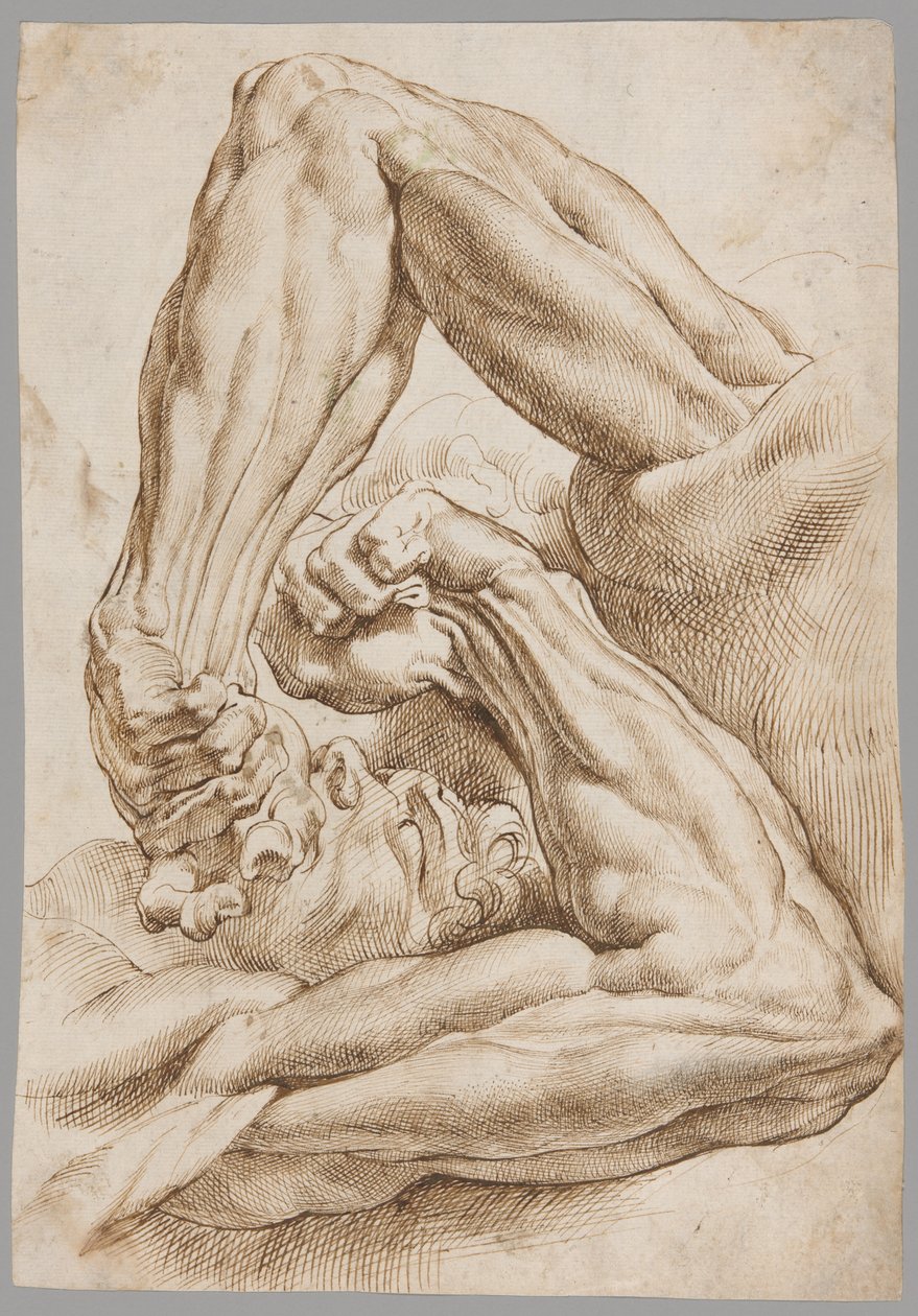 List anatomických studií od Peter Paul Rubens