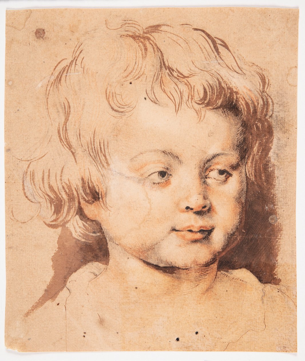 Dětská hlava od Peter Paul Rubens